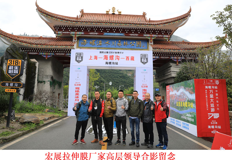 成人免费大片视频厂家