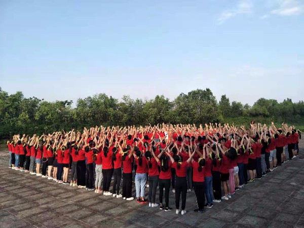 成人免费看片视频免费下载成人免费看片APP下载厂家参加拓展活动