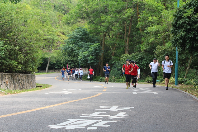 成人免费大片视频厂家