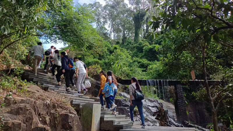 成人免费大片视频厂家