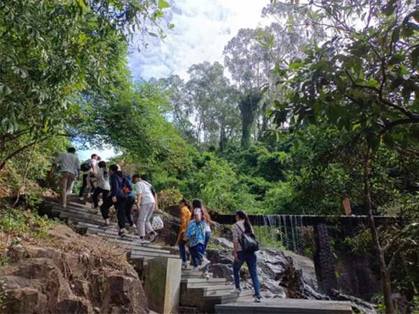 成人免费大片视频