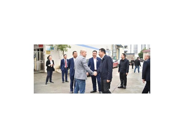 揭阳市揭西县县委书记刘端雄到成人免费看片视频免费下载调研指导工作